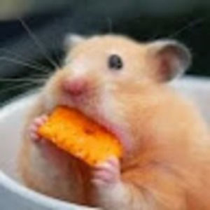 Meet your Posher, Simone